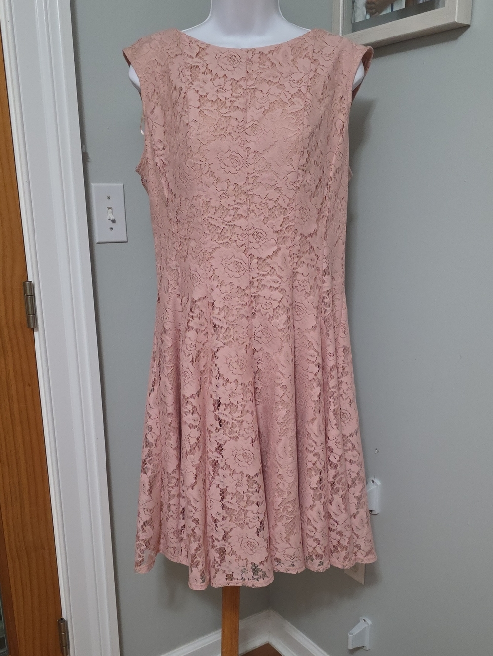 Danny & Nicole Dusty Pink Lace Fit-and-Flare Dress - Size 14